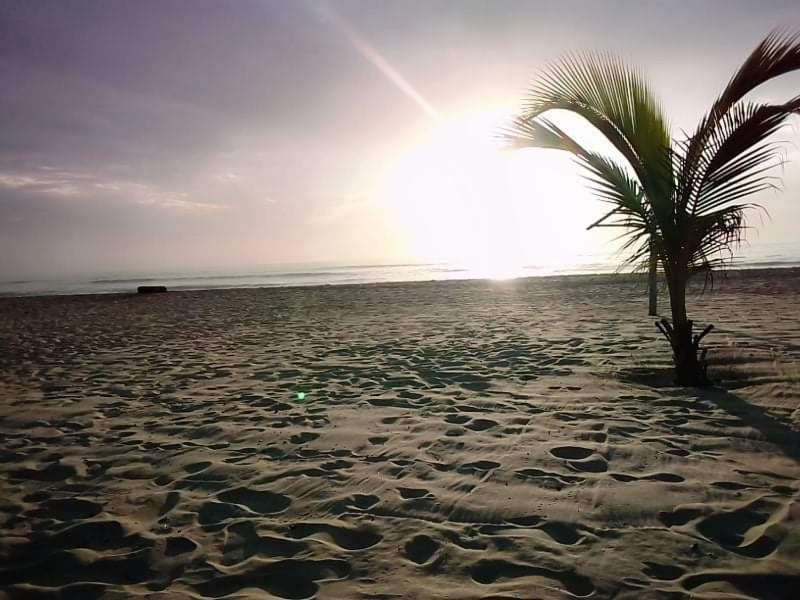 Kinkiliba Beach Lodge Sanyang Zewnętrze zdjęcie