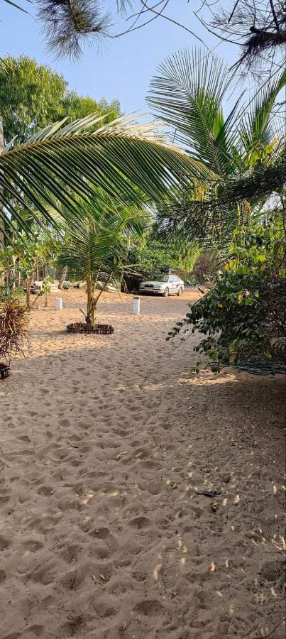 Kinkiliba Beach Lodge Sanyang Zewnętrze zdjęcie
